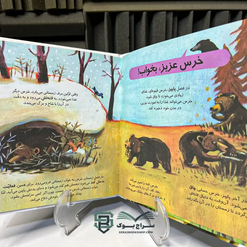 کتاب دایره المعارف کوچک من درباره خرس ها